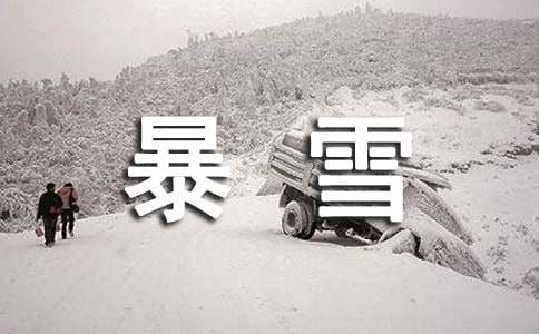 小学防暴雪应急预案
