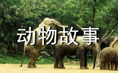 带有动物故事的成语