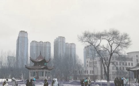 冬季防暴风雪应急预案