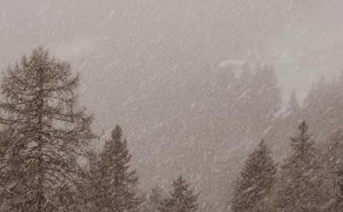 冬季暴风雪应急预案模板2022最新