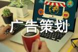网络广告策划书15篇
