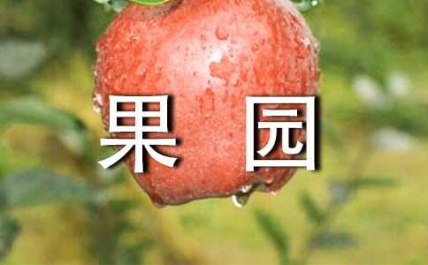 (合集)果园的作文300字3篇