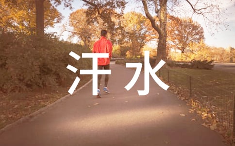 成功的背后是汗水初一作文650字