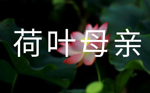 荷叶母亲高三作文