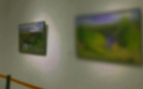 参观画展作文400字