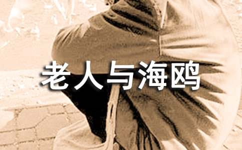 小学六年级作文700字:老人与海鸥