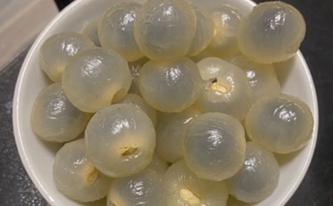 二年级龙眼树作文200字