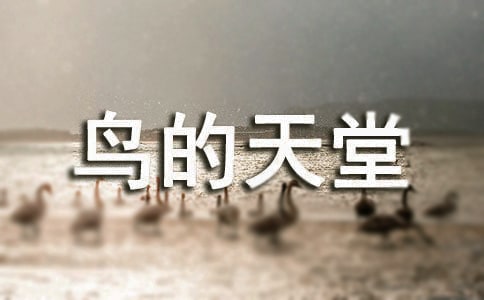 《鸟的天堂》的语文教案