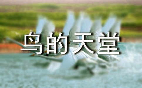 《鸟的天堂》语文教案设计