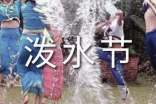 欢乐的泼水节小学生五年级优秀作文