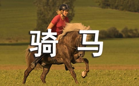 描写第一次骑马的作文500字