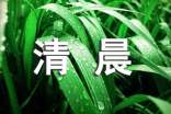 清晨作文300字6篇
