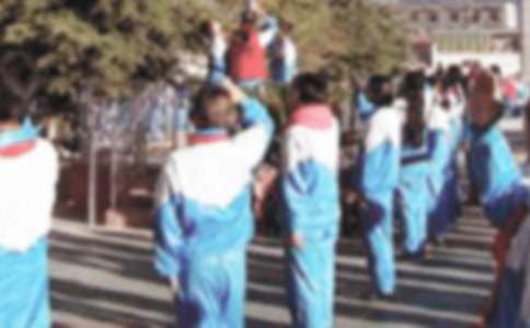 【精品】升国旗小学生作文三篇