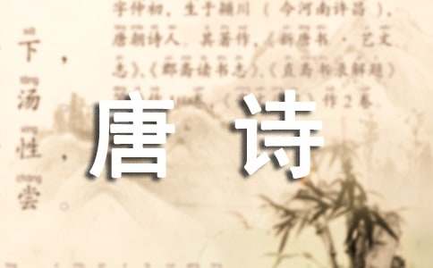 走进唐诗作文500字(精选17篇)