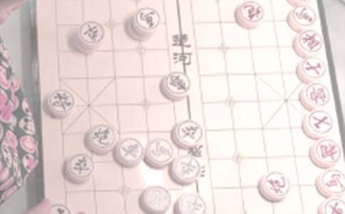 【精品】象棋的作文600字四篇