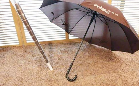 狒狒的雨伞的哲理故事