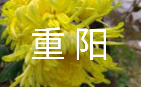 《重阳日至峡道》阅读题及答案精选