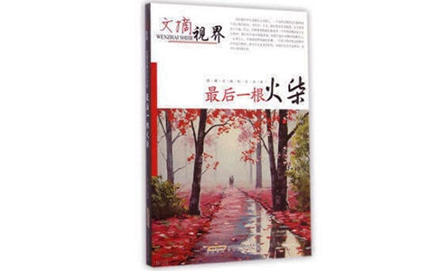 最后一根火柴的阅读答案