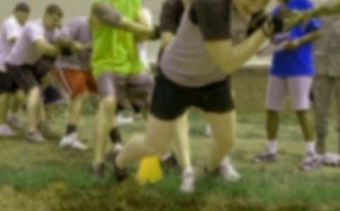 ����ѡ�����꼶�κ�����300����ƪ