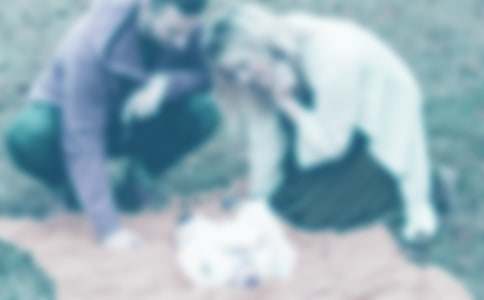 ʵ�õĸ��ְ������һ��������400��