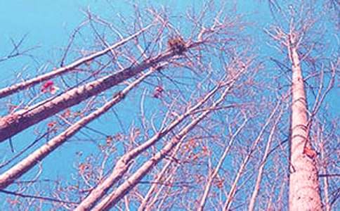 �ִ��İ��������Ķ���ͨ��