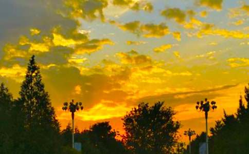 傍晚花魂分外香