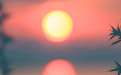 ����ѡ����������400����ƪ