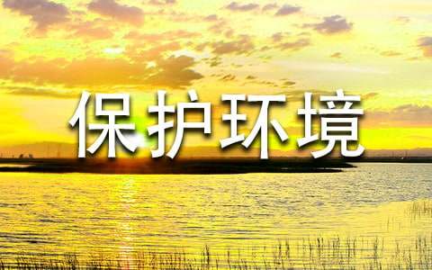 �����������ĵ����