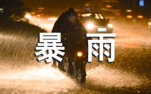 应对暴雨天气应急预案