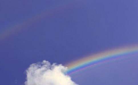 �ʺ��������