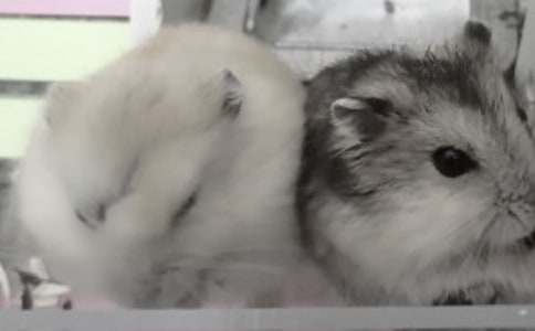 �ɰ��Ĳ�������600��(����)