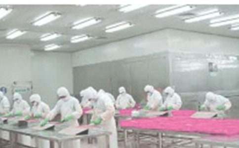 车间技术员工作总结