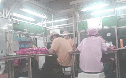 ����������ȹ����ܽ�15ƪ