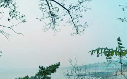 �����硷�Ķ���ϰ���𰸣���ѡ4�ף�