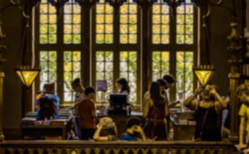 大学生园林实习总结