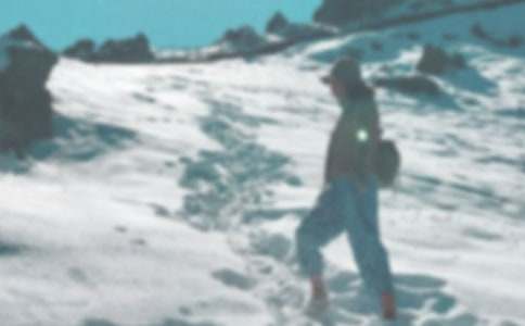 登山小学作文汇总8篇