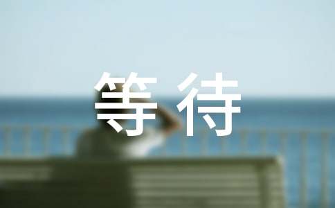 我的心在等待作文800字