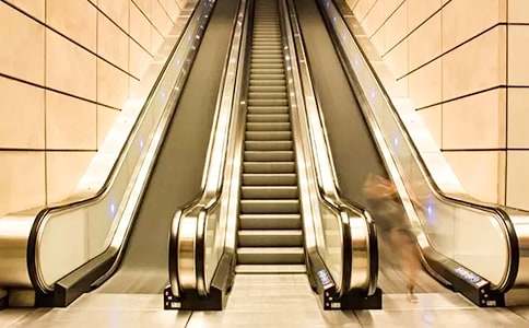 ����Ӧ����ԮԤ��[����15ƪ]