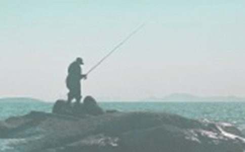 Сè������꼶����(6ƪ)