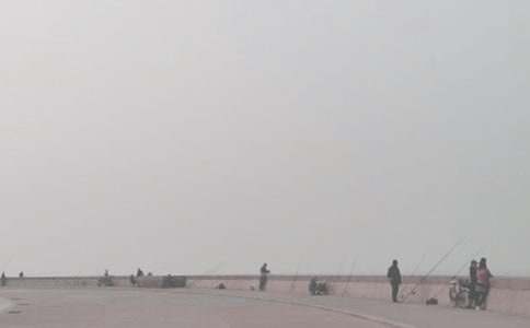 ����ѡ��Сè��������300�ֽ���9ƪ