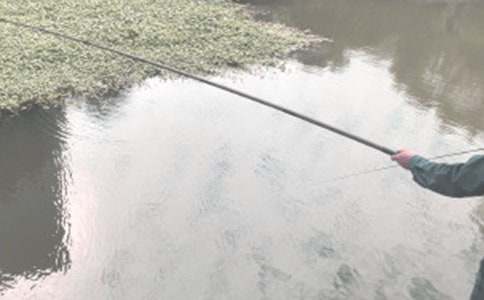 ���е�������