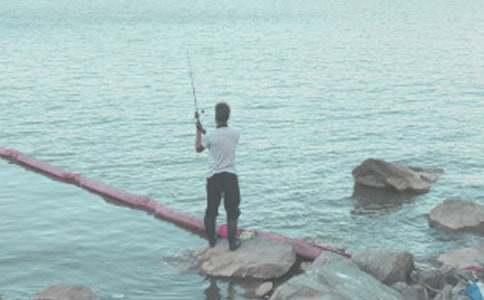 ���ڵ������ʾ���꼶���Ľ���10ƪ