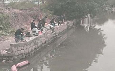 �йض��꼶�������Ľ���8ƪ