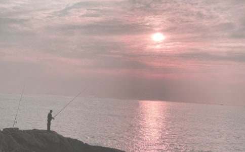 ����ѡ�����꼶�������Ľ���6ƪ