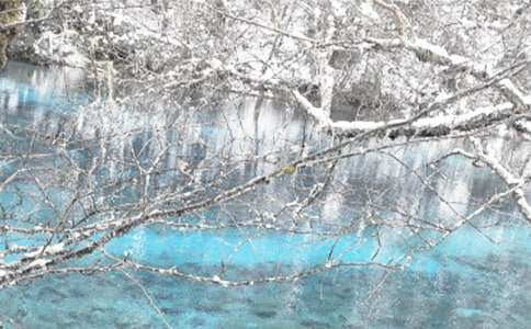 �йض��꼶����������ƪ