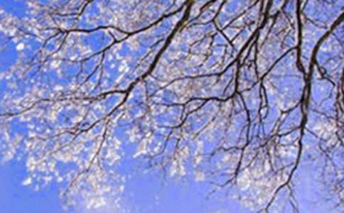 �����ϵĶ��졷�Ķ��𰸱ر�(15ƪ)