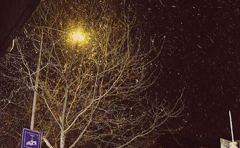 ���ڶ������������