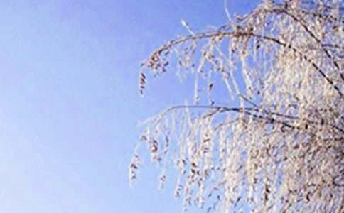 �����һ�꼶����