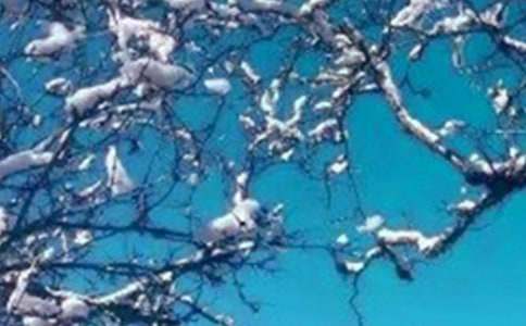 [����]����Ŀ�������300��