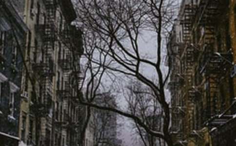 ����Сѧ����